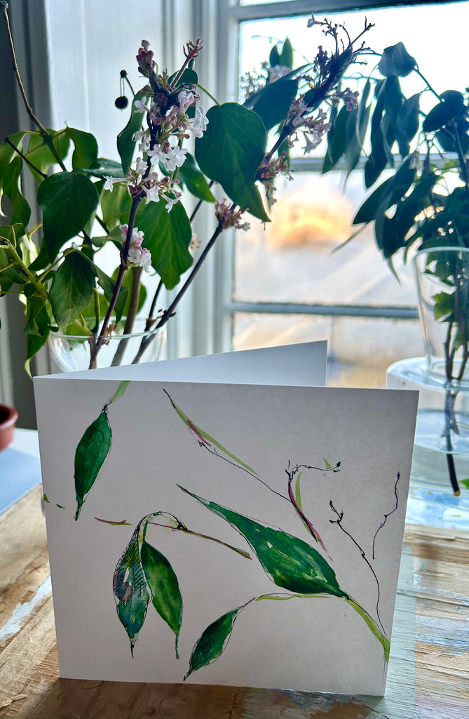 Handpainted Cards - viburnum flowers & eucalyptus leaves