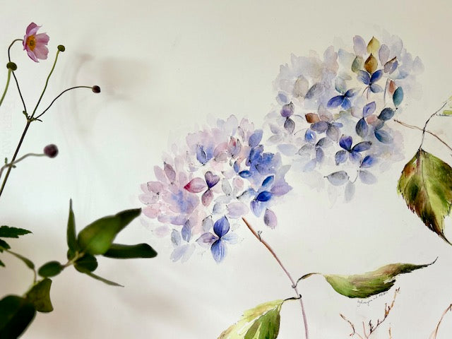 Hydrangea Blue